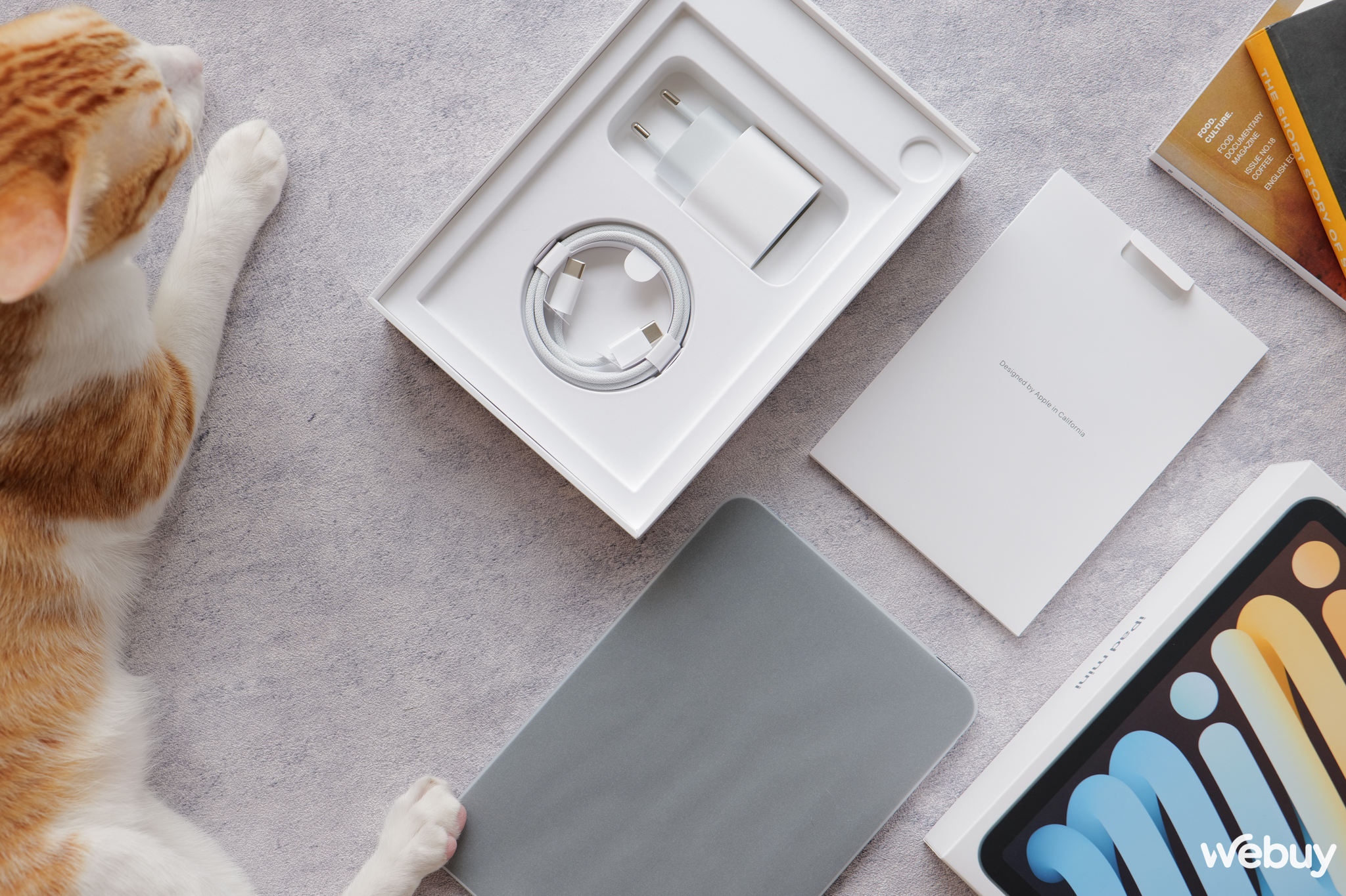 Mở hộp và trải nghiệm nhanh iPad mini 7: Chiếc iPad Mở hộp và trải nghiệm nhanh iPad mini 7: Chiếc iPad